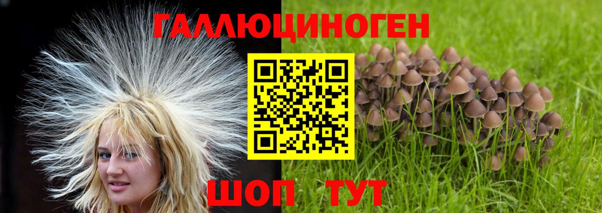 купить наркотик  Псилоцибиновые грибы MAGIC MUSHROOMS  Вход с VPN  Псилоцибиновые грибы Magic Shrooms  Коммунар 